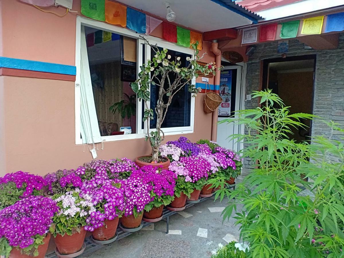 Little Pilgrim Lodge Pokhara Dış mekan fotoğraf